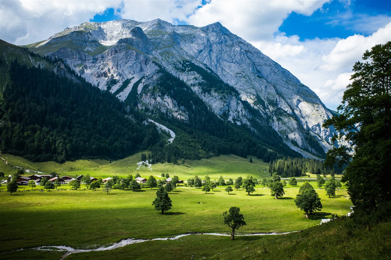Nachhaltiges Holz aus Tirol – MK Landhausdiele München